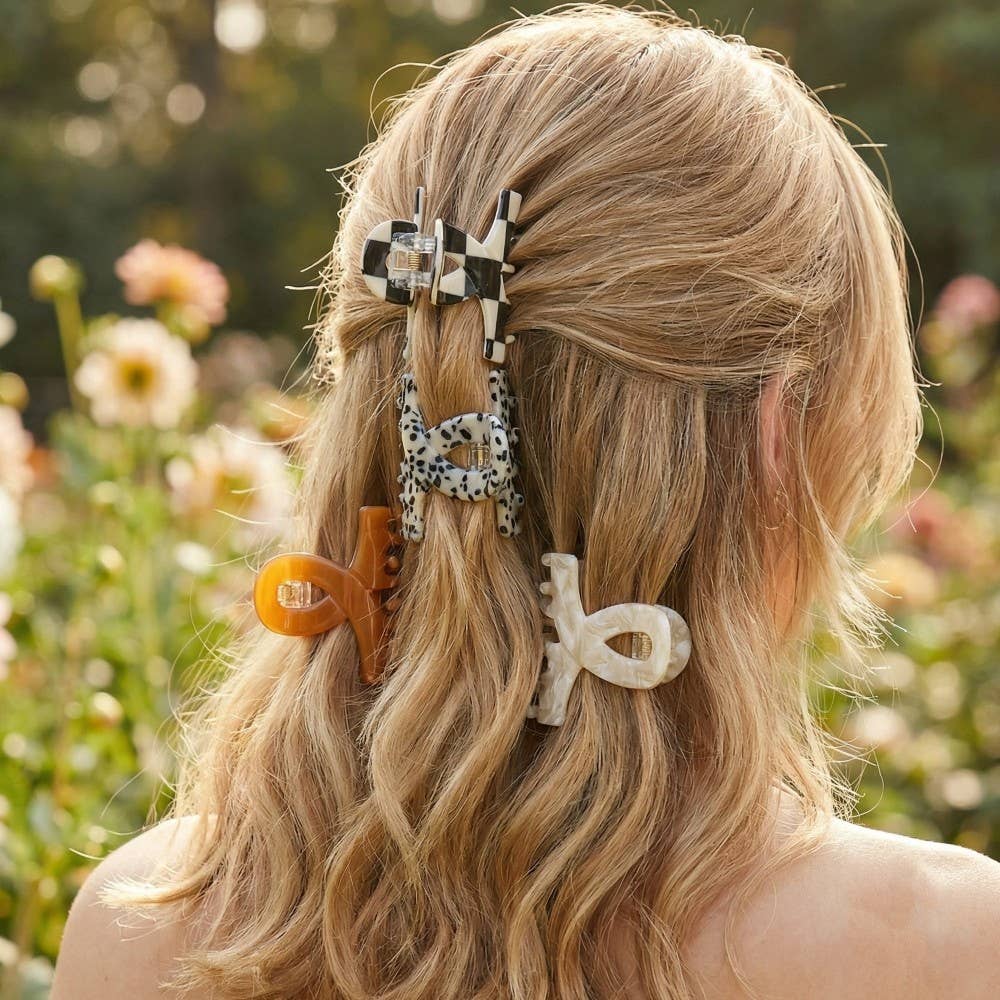 Assorted Four Piece Jaw Hair Clip Set